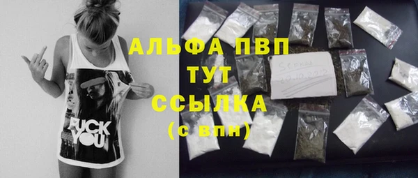 стаф Алексин