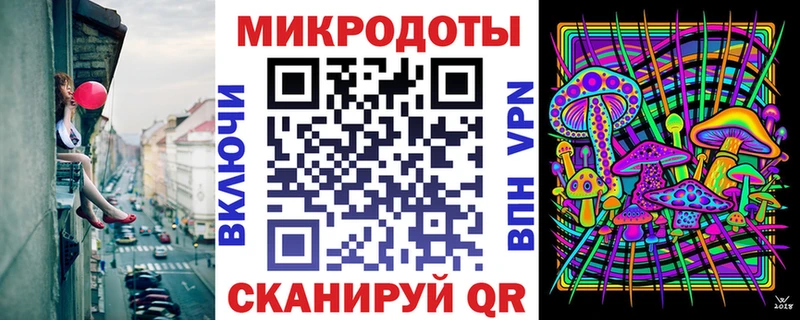 как найти Волгореченск Псилоцибиновые грибы Cubensis